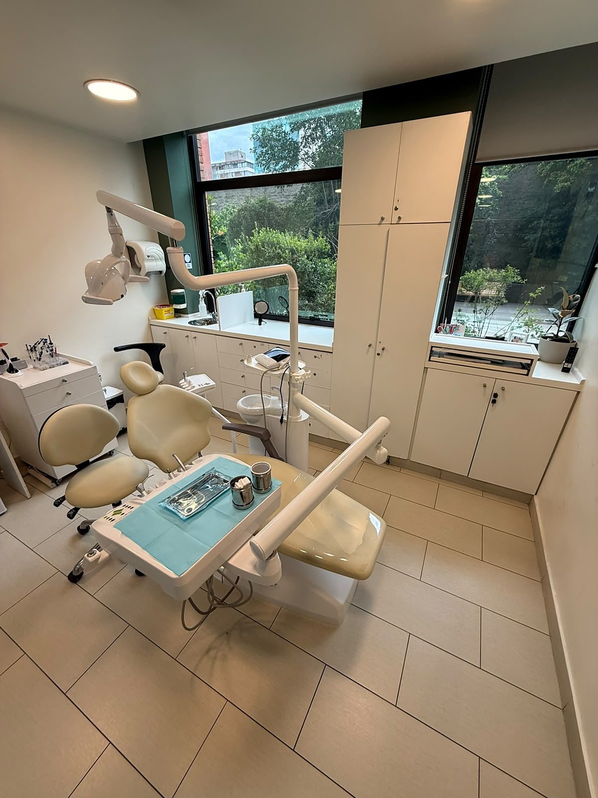 Box de atención de Clínica LEMA con sillón dental y ventanal hacia el jardín
